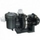 image: Pompe Filtration STA-RITE 5P6RH3 3cv Tri