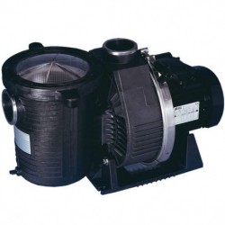 Pompe Ultra Flow 2cv tri