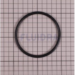 Joint Torique pour Electrode Zodiac EI